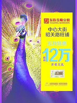 地产 商业dm单页图片