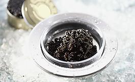 魚子醬圖片