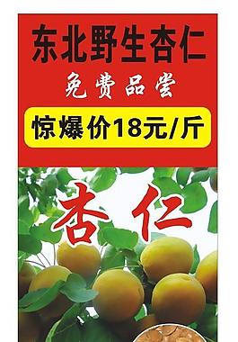 杏仁x展架图片