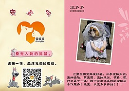 寵物宣傳頁1