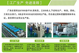 苦蕎茶工廠生產先進流程