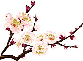 矢量梅花圖