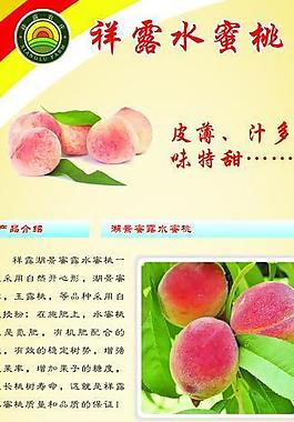 水蜜桃x展架圖片