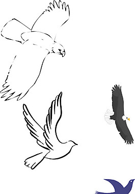 矢量鳥