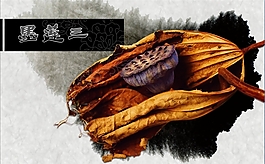 墨蓮中國(guó)風(fēng)動(dòng)態(tài)PPT模板