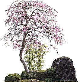 景觀設(shè)計(jì)圖片