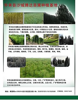 農(nóng)業(yè)綠化基地宣傳圖片