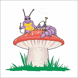 一條惡魔毛毛蟲在香菇上
