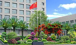 某辦公樓前綠化圖片