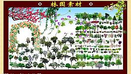 綠化素材圖片