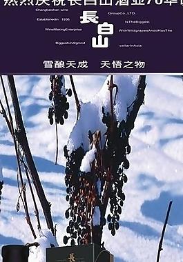 葡萄酒x展架图片