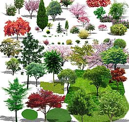 綠化植物素材圖片