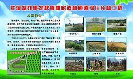 植樹造林綠化片林工程圖片