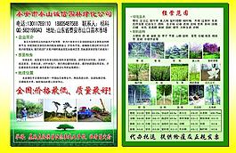 苗木宣傳頁(yè)圖片