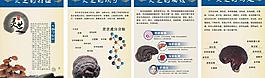 靈芝海報圖片