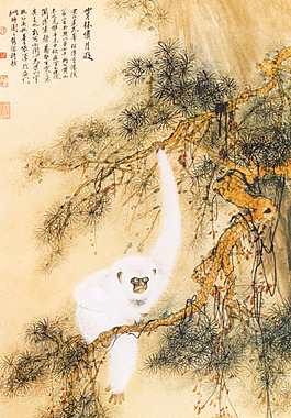 白猿圖   張善開(kāi)