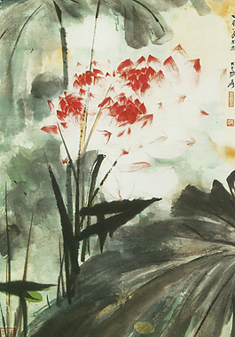 荷花