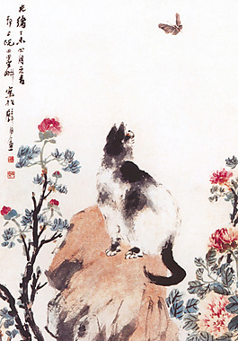 花貓圖