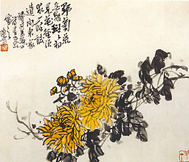 野菊   菊花   紫  藤