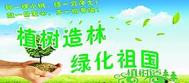 植樹造林圖片
