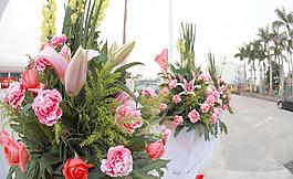 花朵鮮花花籃圖片
