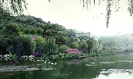 公園景觀設(shè)計圖片