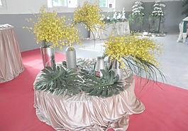 舞蹈小黃花圖片