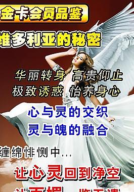 維多利亞x展架圖片