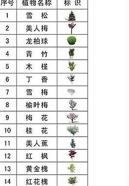 植物素材圖片