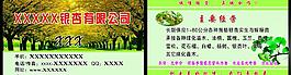 銀杏 名片圖片
