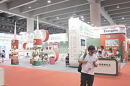 展位建筑圖片