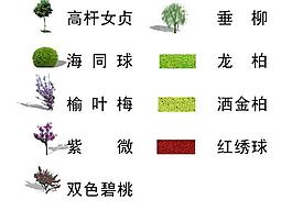 素材圖片