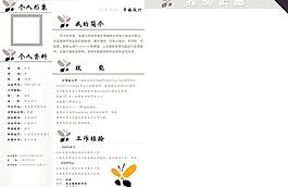 簡歷內頁圖片