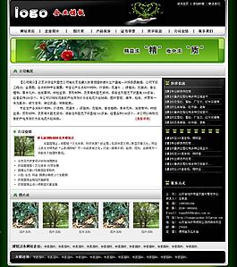 企業(yè)網(wǎng)站模板圖片