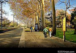 房地產(chǎn)園林設(shè)計(jì)效果圖psd素材圖片