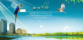 出水芙蓉圖片