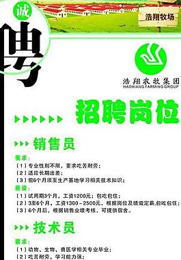 招聘展架图片