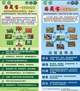 海藻生物菌易拉寶圖片