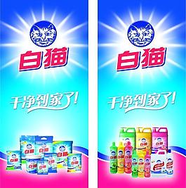 白貓圖片