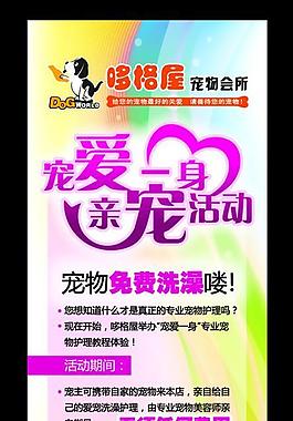 宠物海报图片
