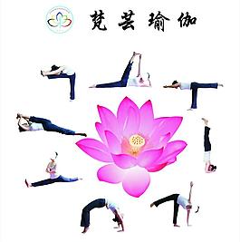 瑜伽 人物 瑜伽動作圖片