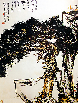 黃山松