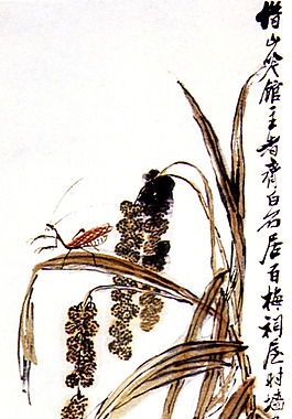 谷穗