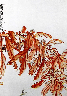 花蟲