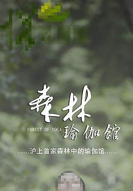 森林瑜伽易拉寶圖片