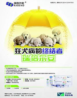 狂犬病宣傳單圖片