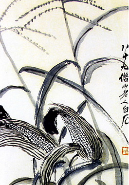 玉米小鸡