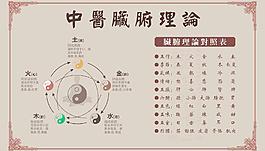 中醫(yī)臟腑理論圖片