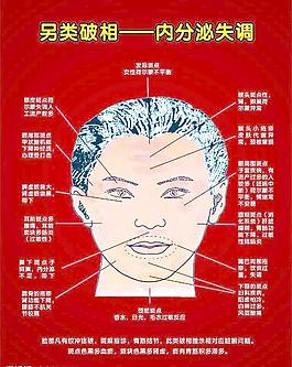 中醫(yī)反應(yīng)大全圖片