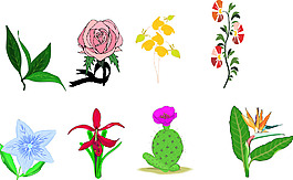 花草